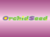 買取強化フィギュアタイトル：オーキッドシード Orchidseed